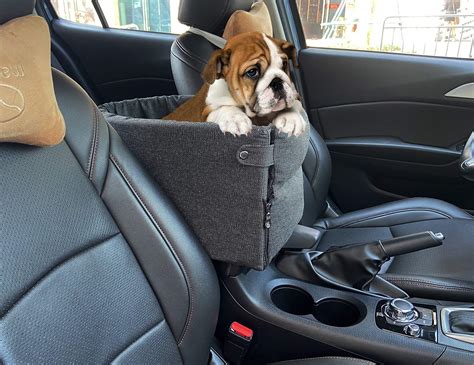 Buy Ximei Dog Booster Car Seat Center Console Dog Pet Booster Car Seat Dog Cat Travel Seat Puppy ...