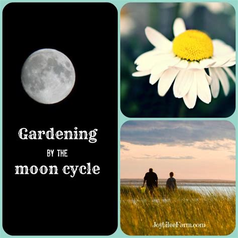 10 gardening secrets that old timers know -- gardening by the moon cycle | Joybilee® Farm | DIY ...