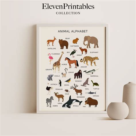 Animal Alphabet Poster ABC Poster Educational Art Kids Room - Etsy