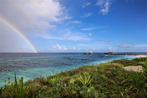 Wakatobi: Dive Experience