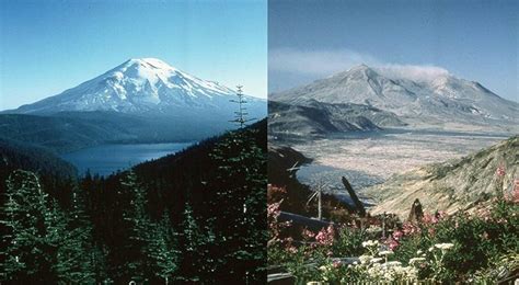 After Mount St. Helens erupted, 1980 became a lost spring for some | UW Magazine — University of ...