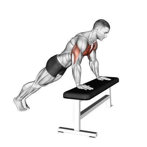 Incline Push Up: Benefits, Muscles Worked, and More - Inspire US