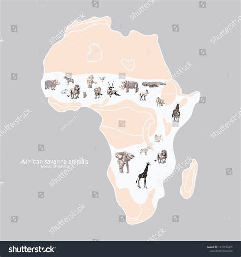 Map Animals African Savannah Vector Illustration Stock Vector (Royalty ...