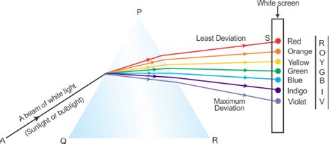 Draw a diagram to show the splitting of white light into seven colours on passing through a ...