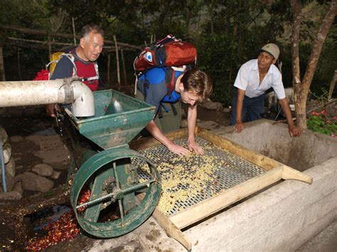 Coclatours: Organic Coffee Farm Tour - Book Online - Cookly