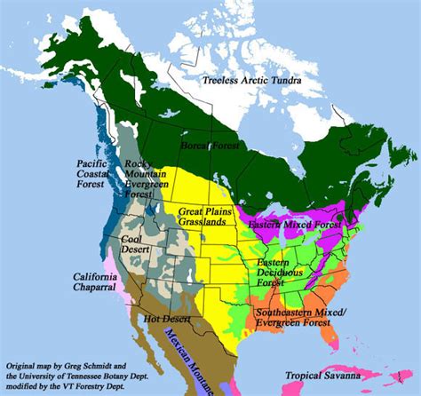 Deciduous Map