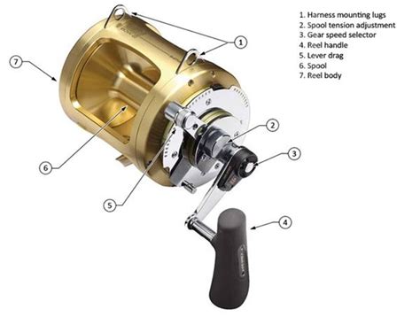 Fishing Reel Parts Diagram