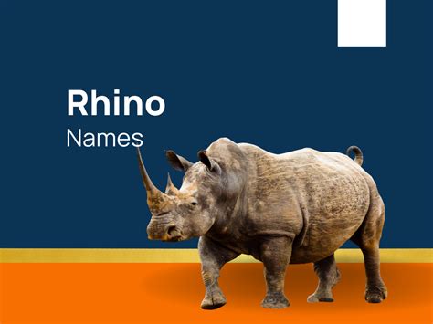 1130+ Rhino Names That Roar with Strength! (+Generator)