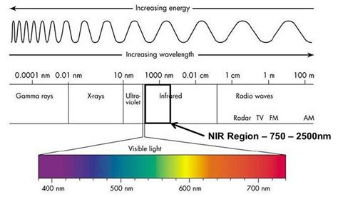 How does Near-infrared spectroscopy work? - NIRLAB