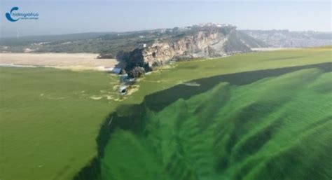 Nazare North Canyon - big waves generator - Nazaré Big Waves Surf - Portugal