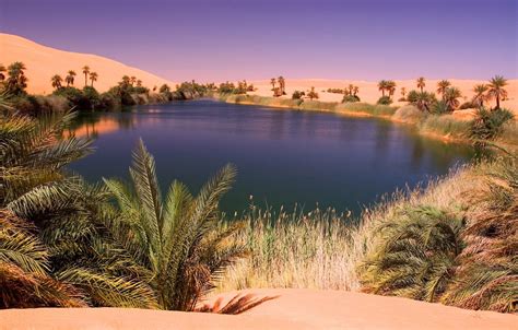 Desert Oasis Landscape Wallpapers - 4k, HD Desert Oasis Landscape Backgrounds on WallpaperBat