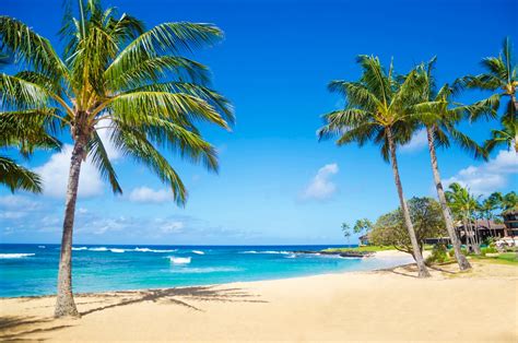 The 5 Best Beaches in Hawaiʻi in 2021 - Hawaii Magazine