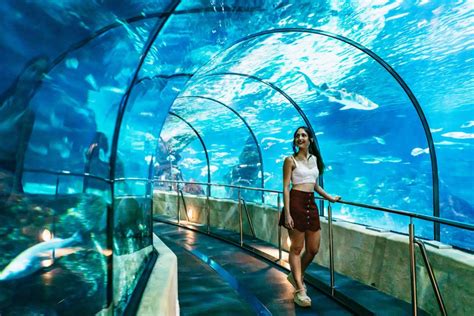 Barcelona Aquarium: Skip-the-Line Admission Ticket | GetYourGuide