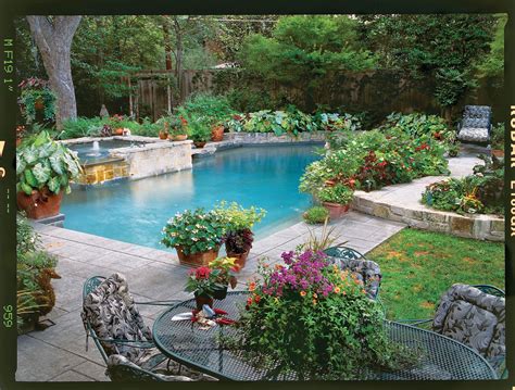 Poolside Container Garden | Pool landscaping, Backyard pool, Backyard