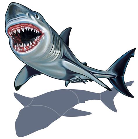 Great White Shark Cartoon Pictures - ClipArt Best