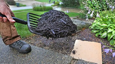 Thurston County’s free mulch program to end Jan. 31, 2023 | The Olympian