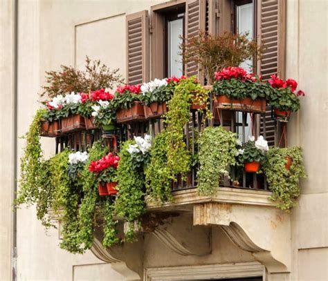 A green balcony, even in winter