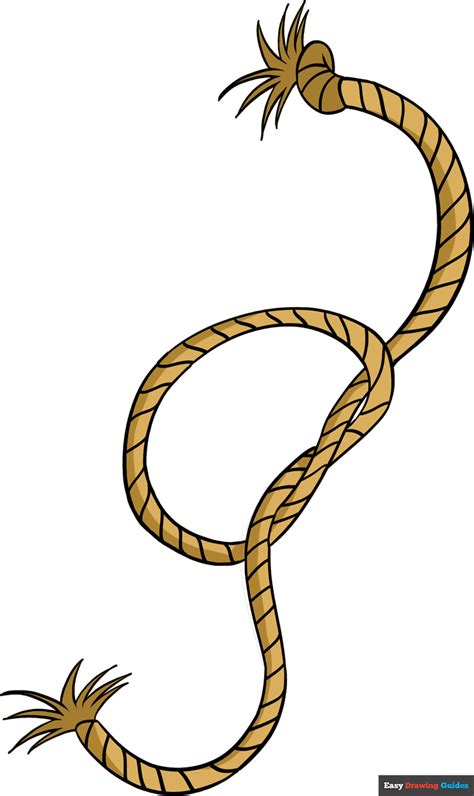 How To Draw A Rope Really Easy Drawing Tutorial | Porn Sex Picture