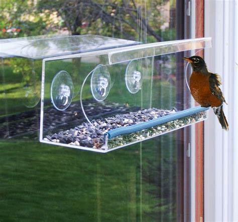 Long Acrylic Window Bird Feeder w/ Perch Birdfeeder