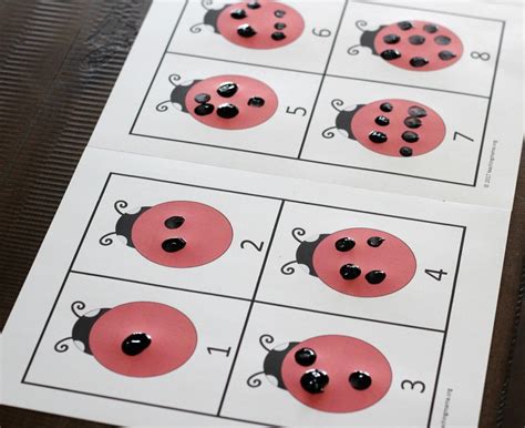 Ladybug Spots Counting Activity