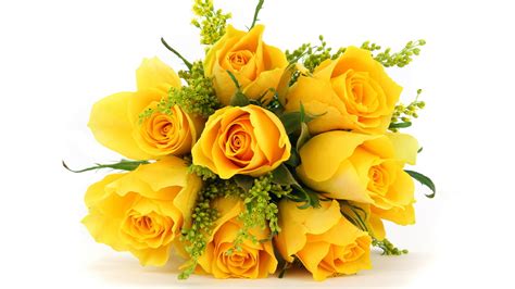 Yellow roses in a bouquet on a white background wallpapers and images ...