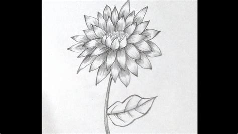 How to Draw a Dahlia Flower. - YouTube