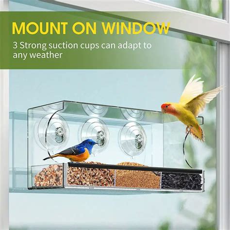 Window Bird Feeders Strong Suction Cups Clear Bird Feeder - Temu