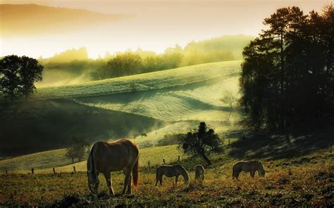 🔥 [100+] Countryside Wallpapers | WallpaperSafari