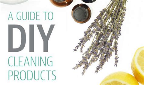 A Guide to DIY Cleaning Products #infographic - Visualistan