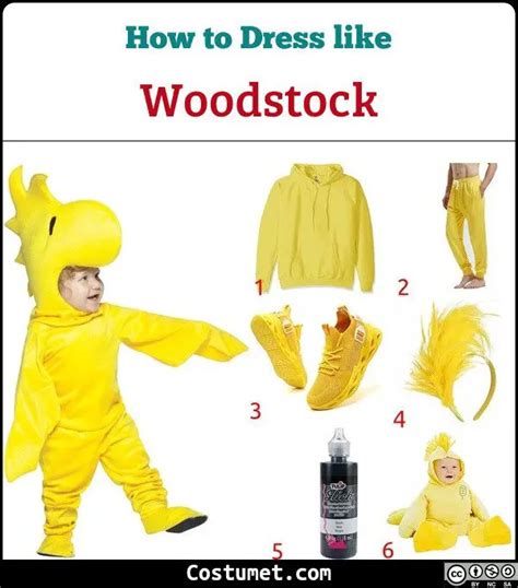 Woodstock (Peanuts) Costume for Halloween