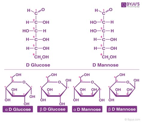 Carbohydrate Structure