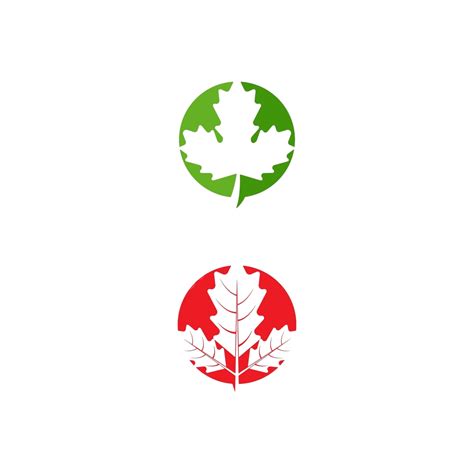 Maple Leaf Vector Illustration Flag Maple Leaves Vector, Flag, Maple, Leaves PNG and Vector with ...