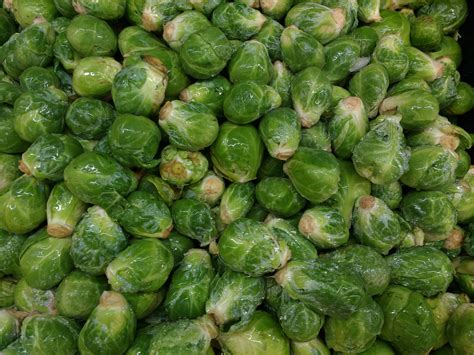 Brussels Sprouts – Photos Public Domain