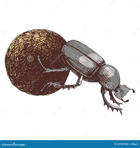 African Dung Beetle Rolling Ball Cartoon Vector | CartoonDealer.com #227597285