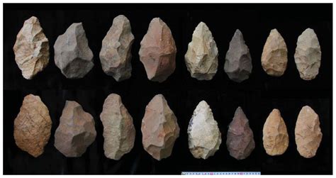 Did rise of ancient human ancestor lead to new stone tools? — Secret History — Sott.net