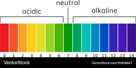 Chart ph alkaline and acidic scale Royalty Free Vector Image