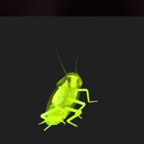 Dancing Cockroach GIF - DancingCockroach - Discover & Share GIFs ...