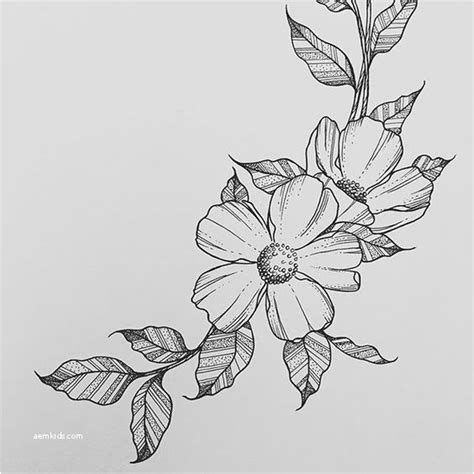 Flower Pencil Sketch