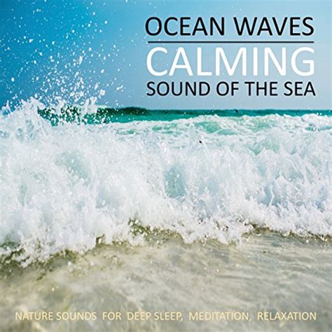 Ocean Waves - Calming Sound Of The Sea Audiobook | Patrick Lynen | Audible.com.au