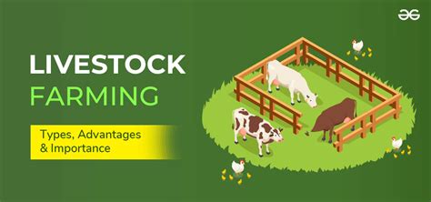 What is Livestock Farming? It's Types, Advantages and Importance - GeeksforGeeks