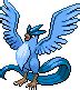 Articuno | Pokémon Wiki | Fandom