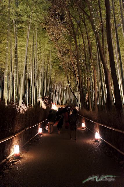 AI: Artificial Imagination: Kyoto - Bamboo Forest @ Night