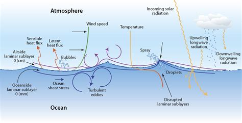 What causes ocean waves? - Woods Hole Oceanographic Institution