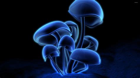 Neon mushrooms wallpaper - Digital Art wallpapers - #54584