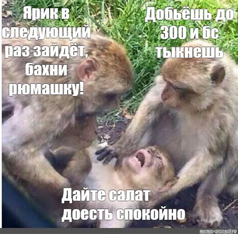 Meme: "Ярик в следующий раз зайдёт, бахни рюмашку! Добьёшь до 300 и бс тыкнешь Дайте салат ...