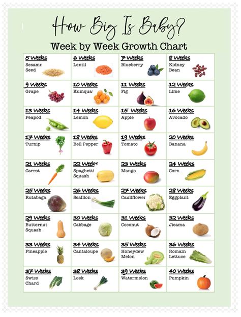 How Big is Babyweekly Printable Growth Chart-see How Big | Etsy | How big is baby, Baby growth ...