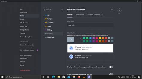 How To Add Color Roles In Discord | Li Creative