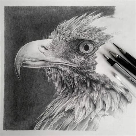 Hyperrealistic Graphite Drawings by Monica Lee