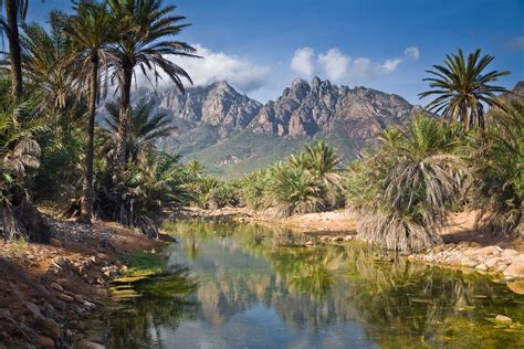 The world most beautiful places: Socotra, Yemen