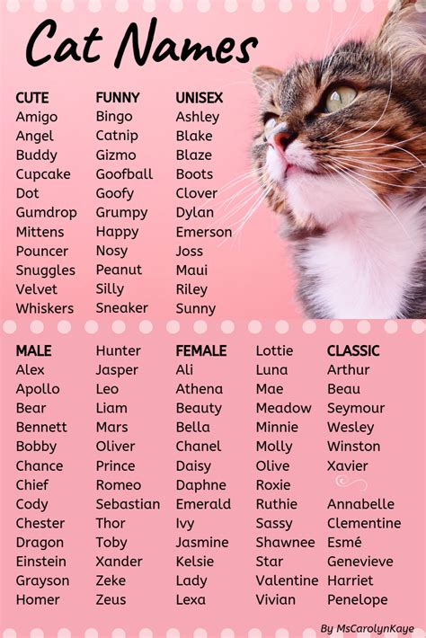 Cat Names Male List